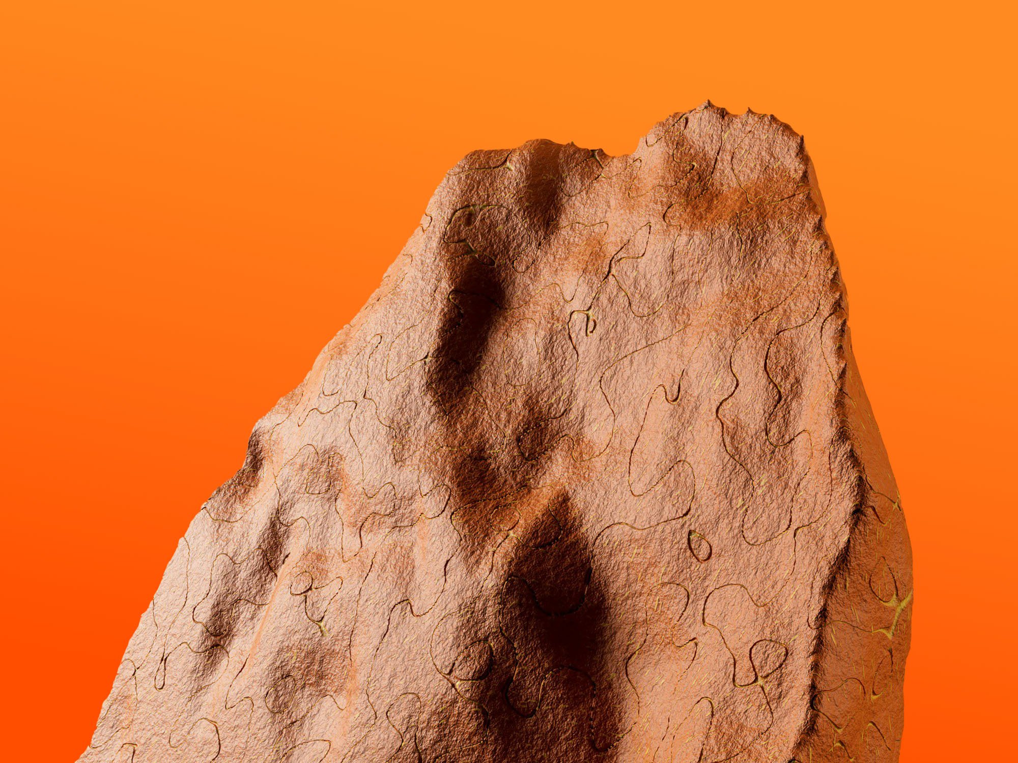 yordan stoyanov IKy3Rqo3SBx4 unsplash (1)